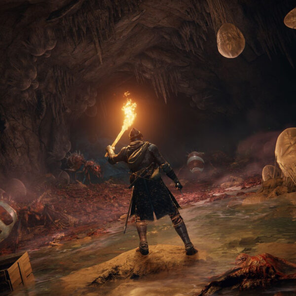 PS4 Elden Ring - Image 4