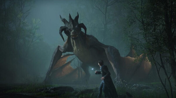 PS4 Hogwarts Legacy - Image 4