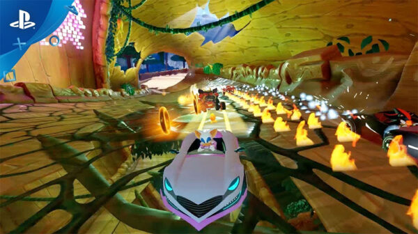 PS4 Team Sonic Racing - Special Edition - Image 3