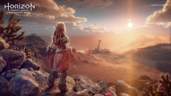 PS5/PS4 Horizon Forbidden West - Collectors Edition - Image 4
