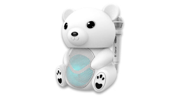 Funky Bear WH - Image 3